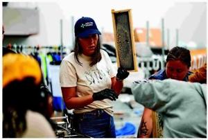 HONEY HARVEST TEACHES WORK RESPONSIBILITY
