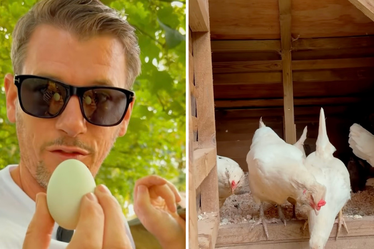 MasterChef star blasts ‘evil’ parents after children destroy chicken coop at restaurant