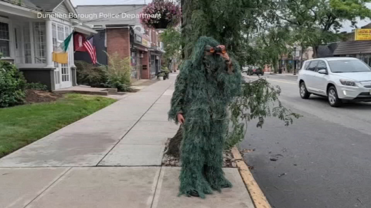 New Jersey officers dress up as shrubs to catch distracted drivers on their phones