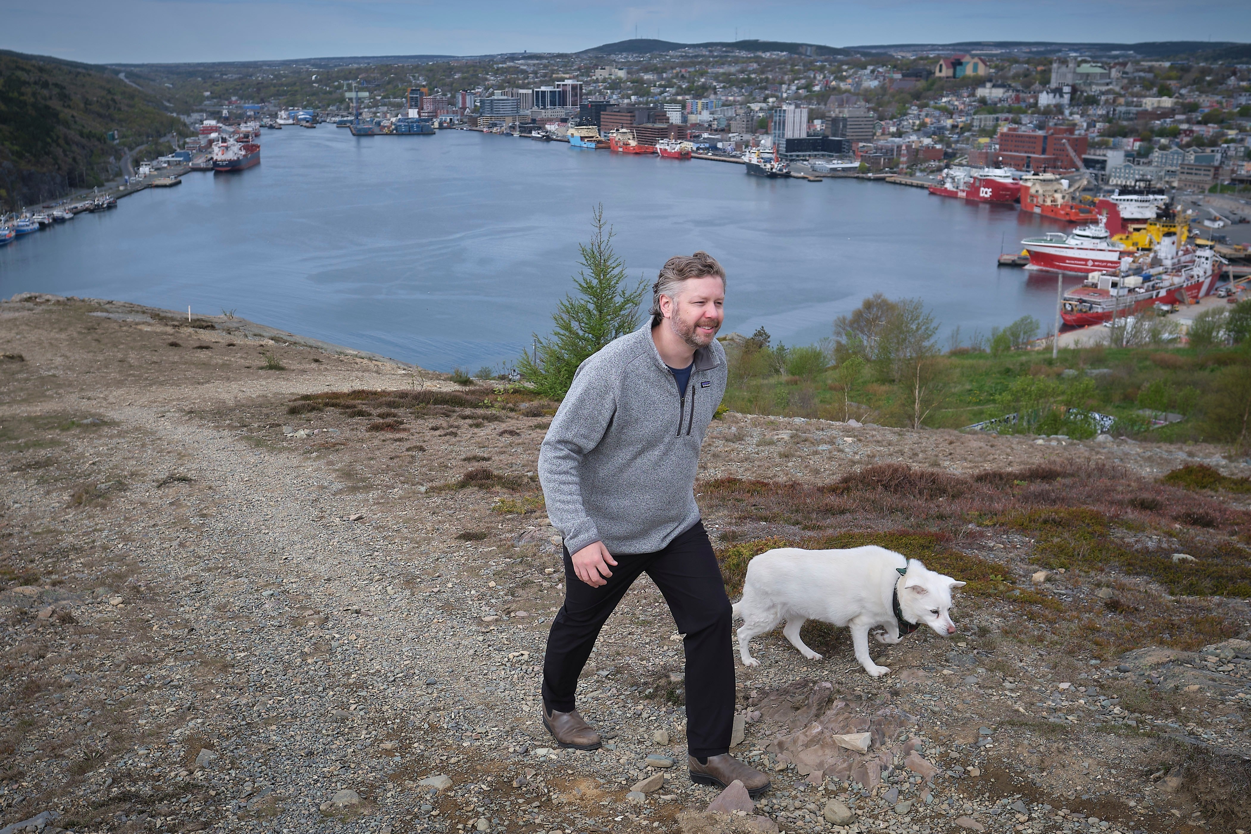 Business Brief: How Newfoundland became an unlikely tech hub