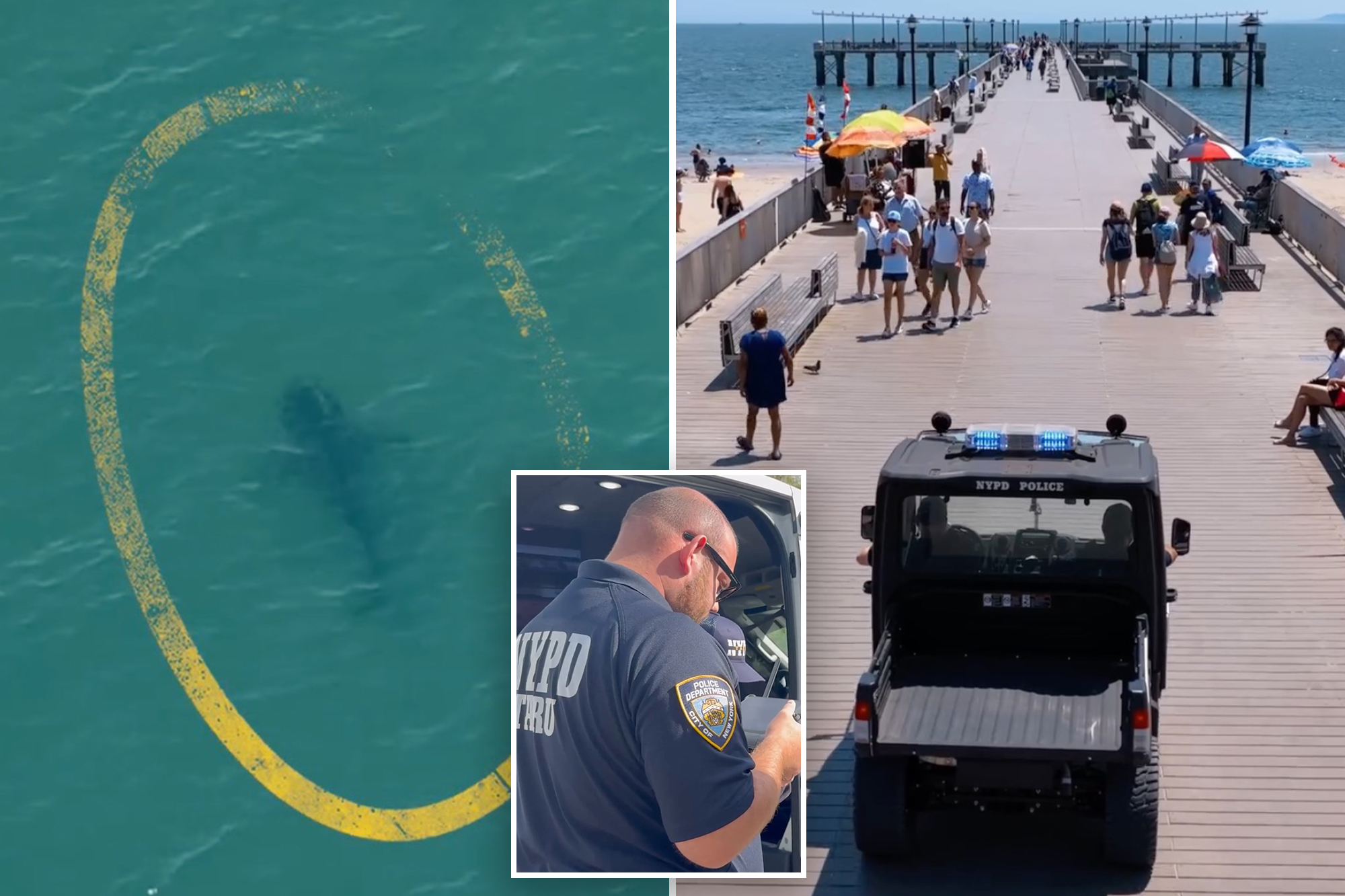 NYPD deploys drones to track sharks after rise in sightings off NYC beaches