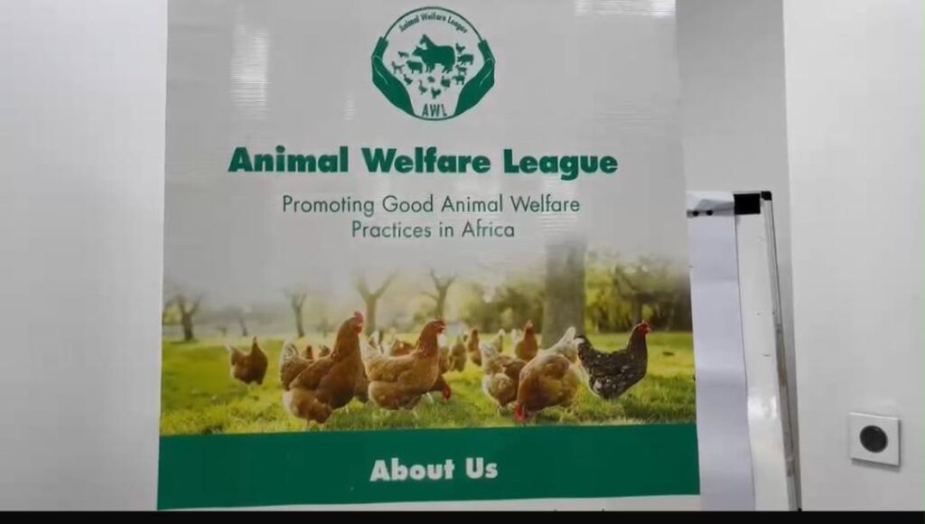 Animal Welfare League urges Ghana government to adopt free-range poultry farming over battery cages