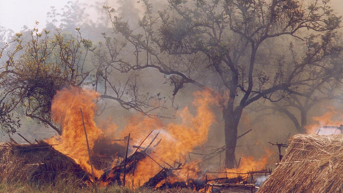 The Muthanga land agitation and the 2026 verdict | Explained
