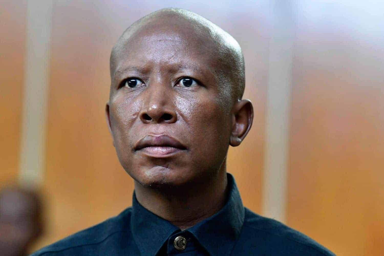 Malema ‘not scared’ of Madlanga commission but won’t be ‘treated like a child’