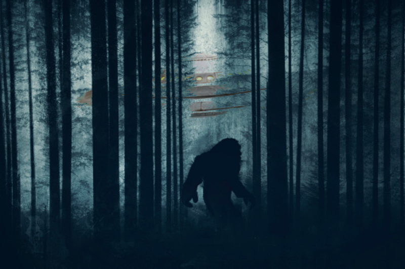 'You can't unsee it:' Connecticut driver claims to see Bigfoot cross the road