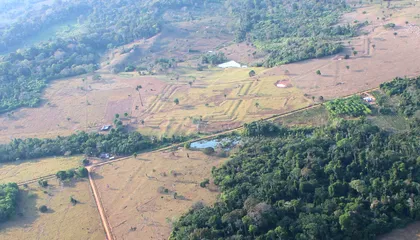 Mysterious Shapes Hidden Beneath the Amazon Canopy Reveal a Sprawling Ancient Civilization Much Bigger Than Researchers Expected