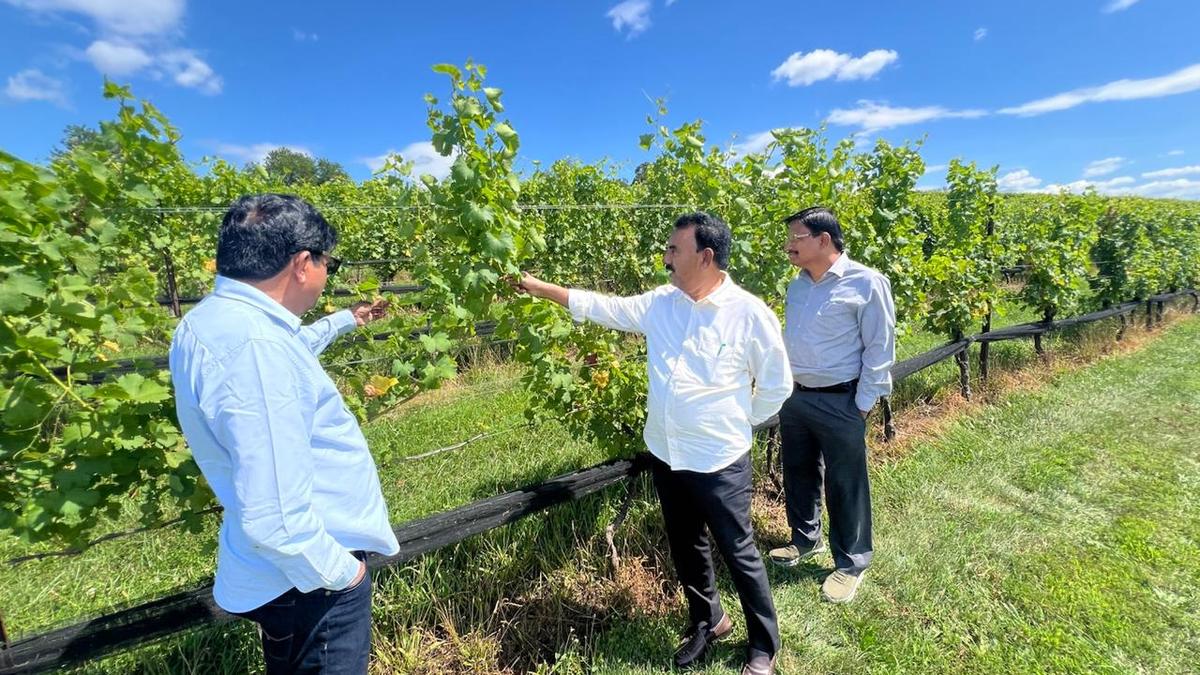 Telangana explores wine tourism model