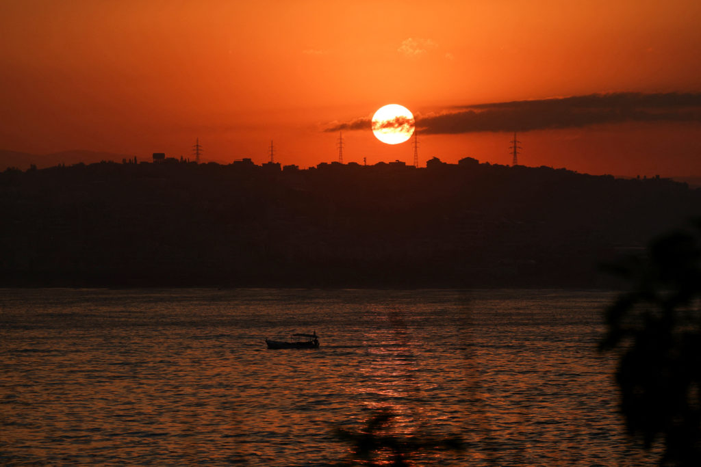 The Mediterranean's warming waters are drawing hundreds of invasive species