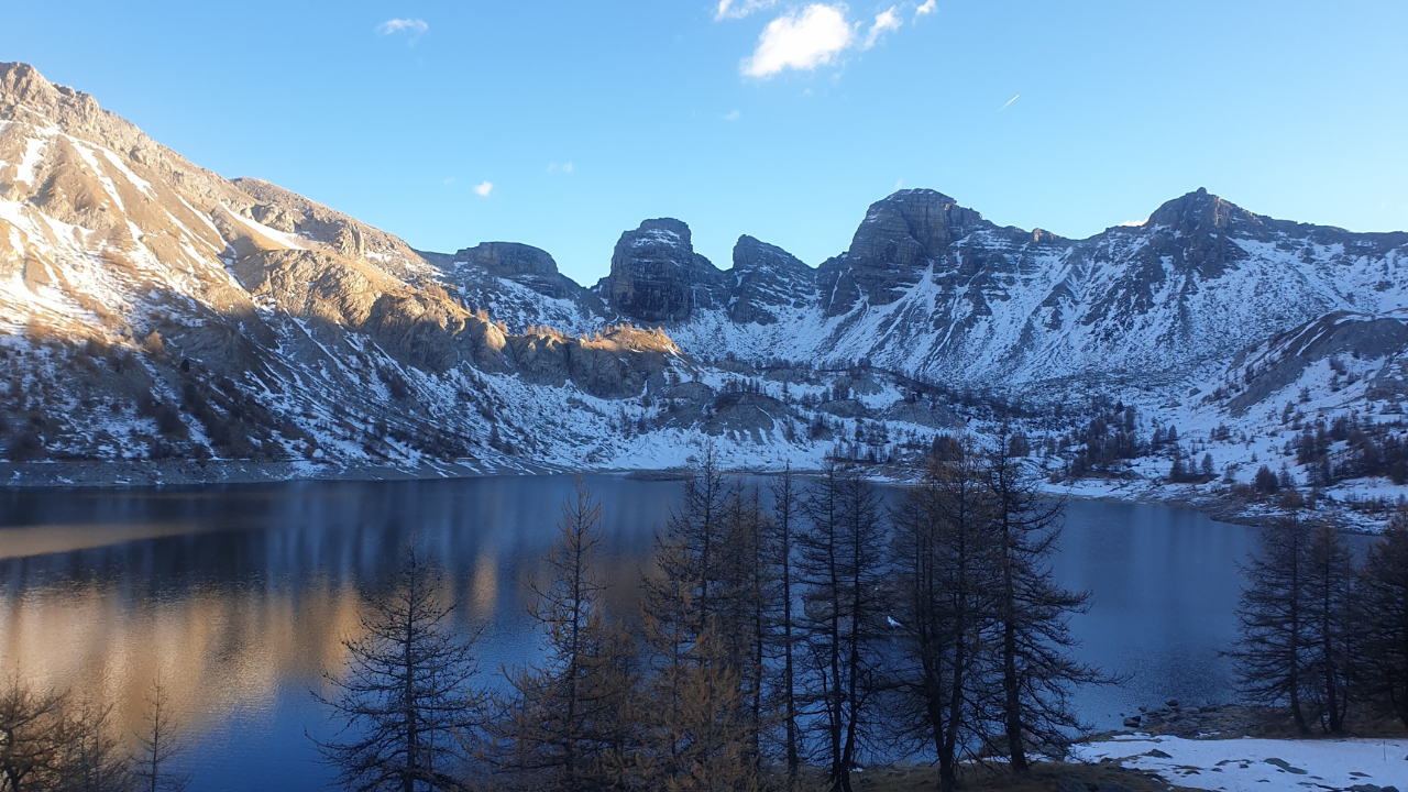 Arctic charr evolved distinct metabolism after 100 years in Lake Allos