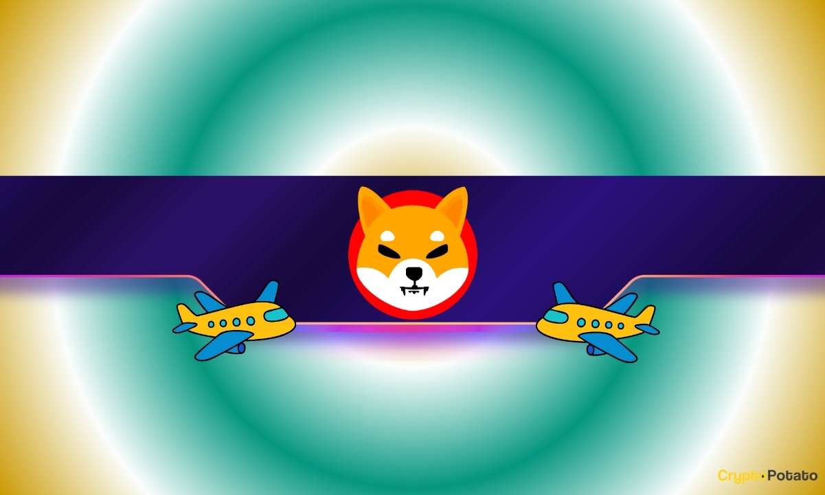 Shiba Inu Team Sets a New Challenge for the SHIB Army: Who Goes First?