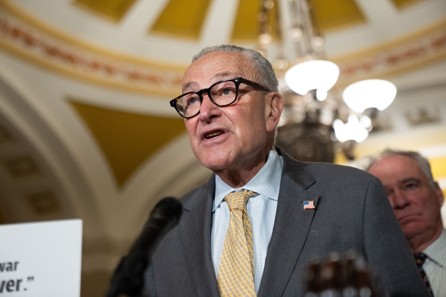 Schumer interrupted by protester: 'You should be questioned about your diabolical record'