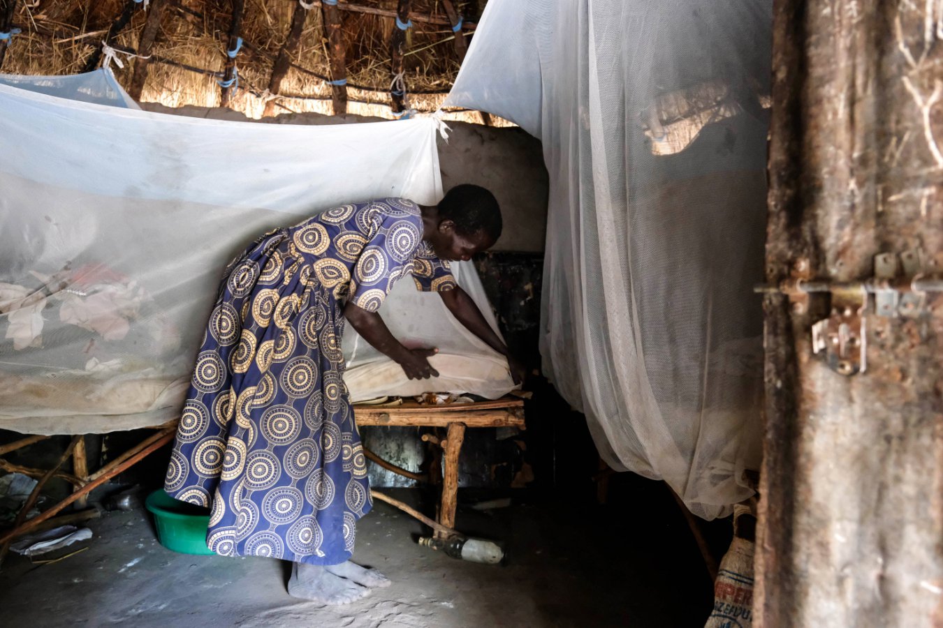 Climate change may help eliminate malaria from West and Central Africa