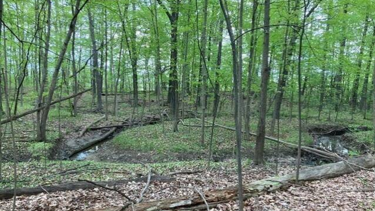 Michigan woman sues Toll Brothers over access to her 19-acre property