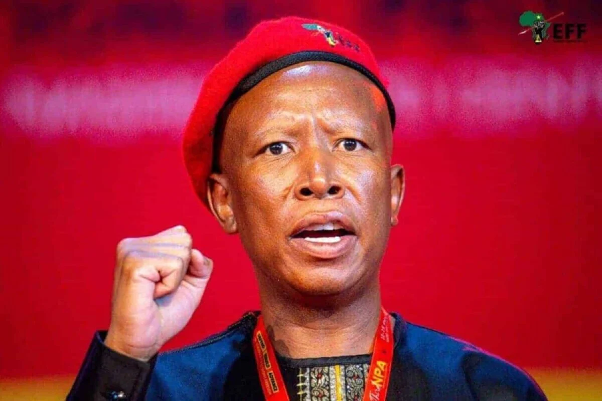 In case you missed it: Juju ‘not scared’ of Madlanga commission | Allie joins ActionSA | No persecution for ‘Amerikaners’