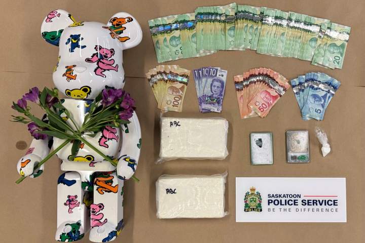 Cocaine, collectible bear seized in Saskatoon drug bust