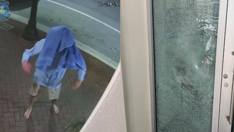 Man accused of vandalism at Sarasota synagogue says 'propaganda' made him mad