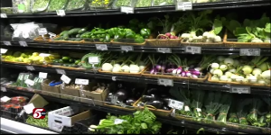 Shop local at Lynnhurst’s Radish Farm Stop