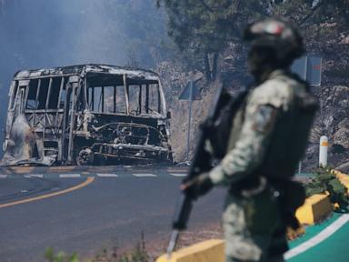 Man whose slain brother led Mexican cartel pleads guilty to drug charges in US