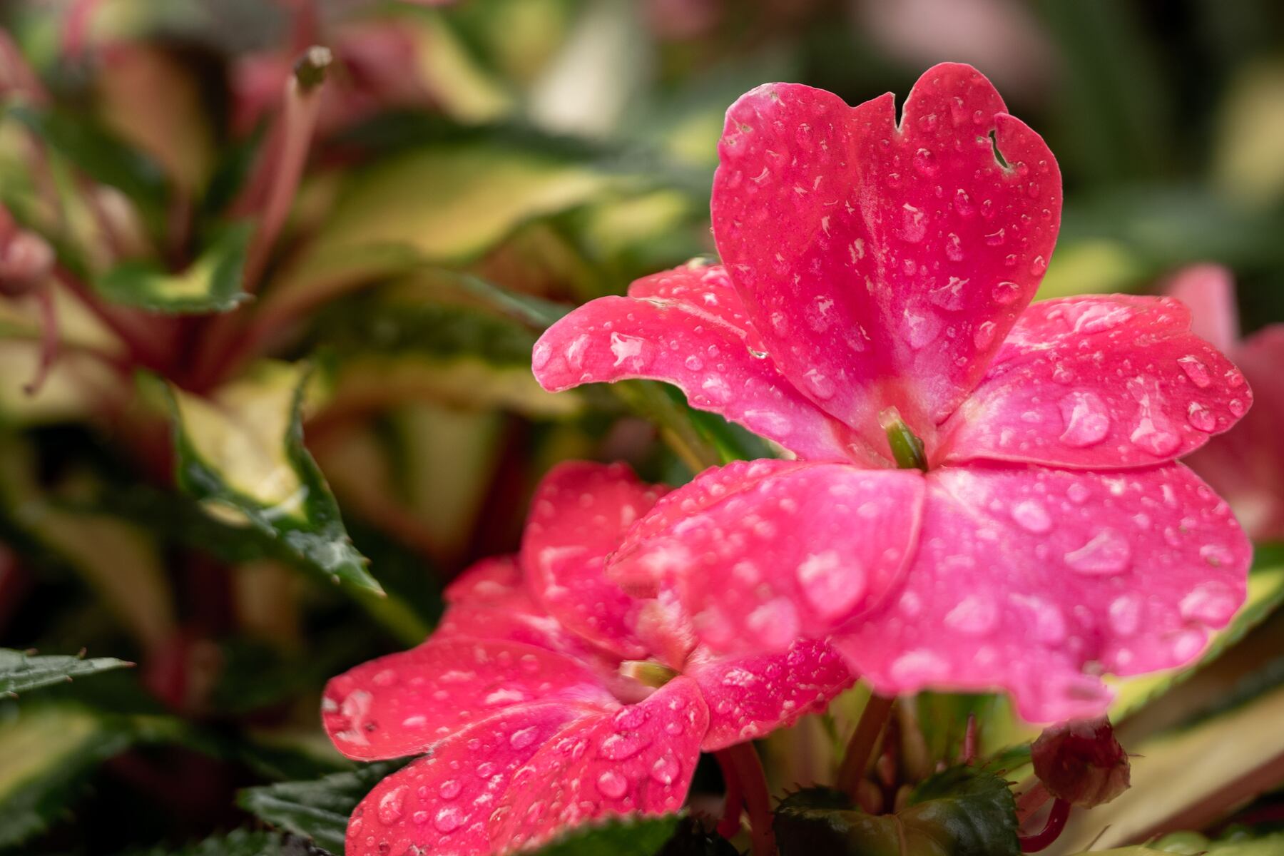 Rain eases in Mass. over weekend before soggy stretch returns