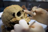 A Young Person’s 200,000-Year-Old Skull Fragment Suggests Diverse Human Populations in Ancient Spain
