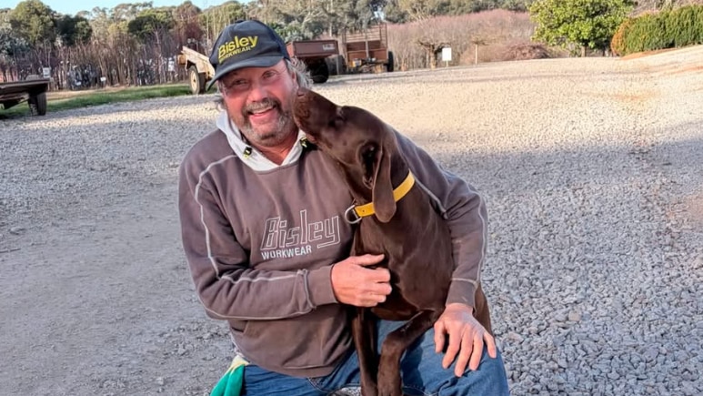 Farmer posts reward after dog shot at family nursery