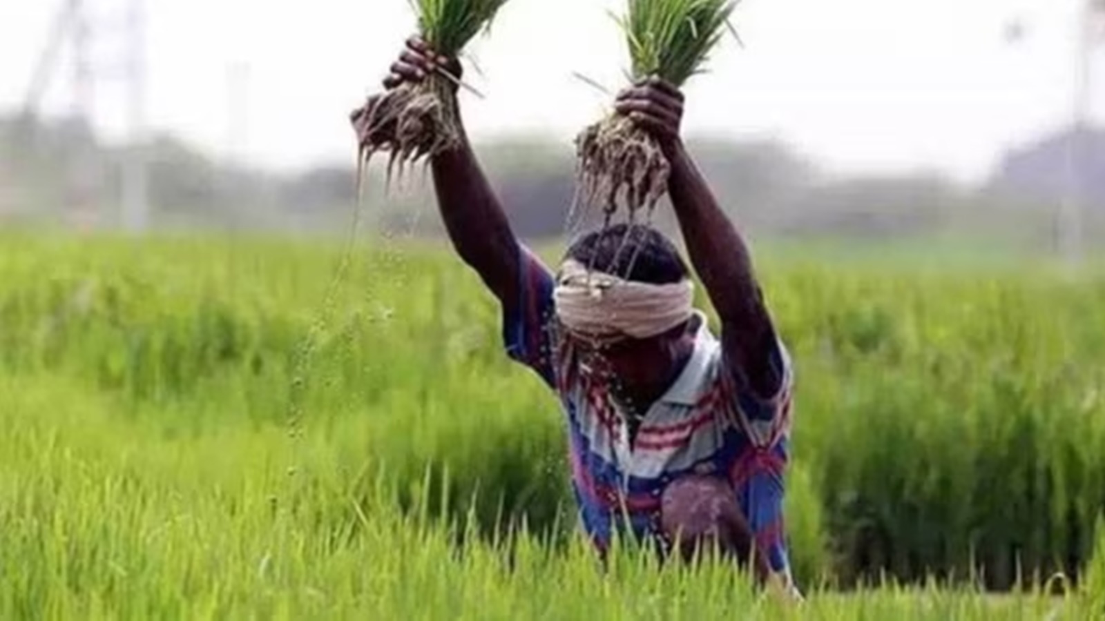 Cabinet approves extension of PM-KISAN for 5 years