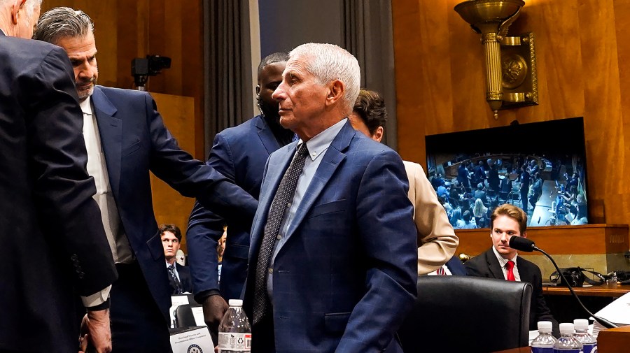 Critics and allies chime in after Fauci hearing