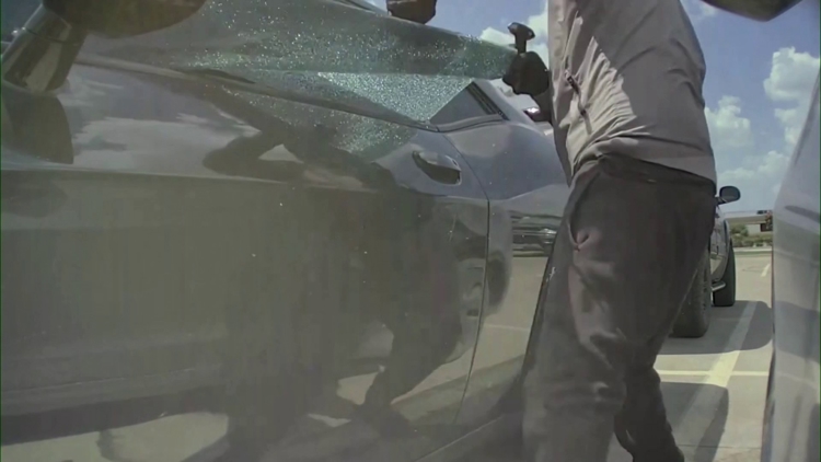 Tesla cameras capture attempted Dodge Charger theft outside Dallas movie theater