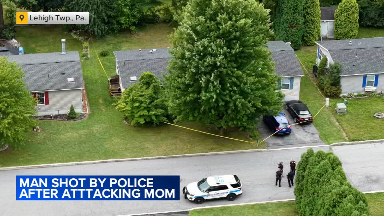 Lehigh Township man accused of attacking mother before being shot by police