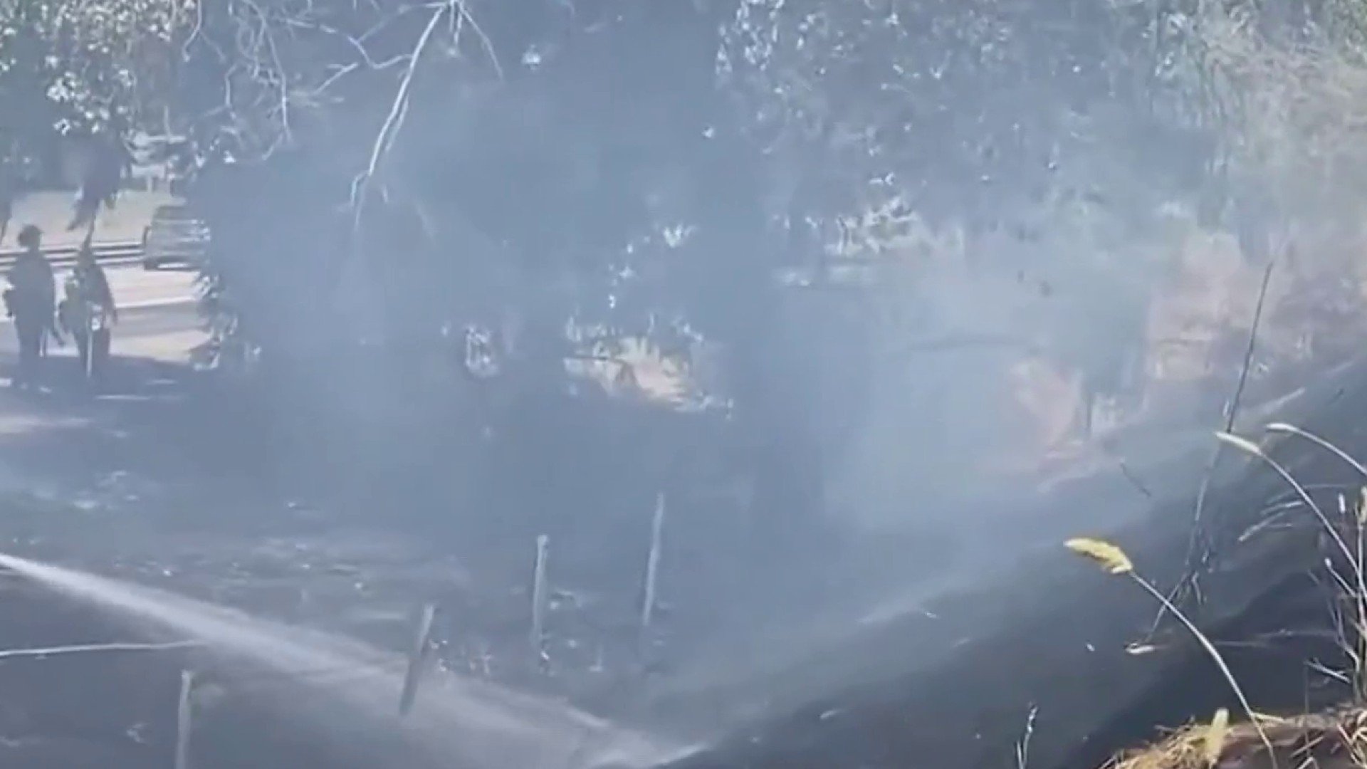 Grass fire in Santa Rosa leads to arrest