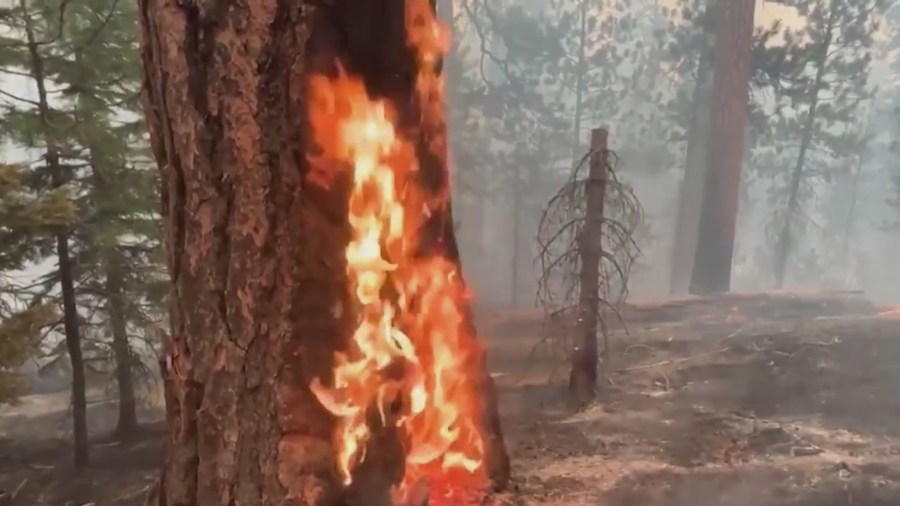 Warms Springs Reservation grapples with devastating Bench Fire