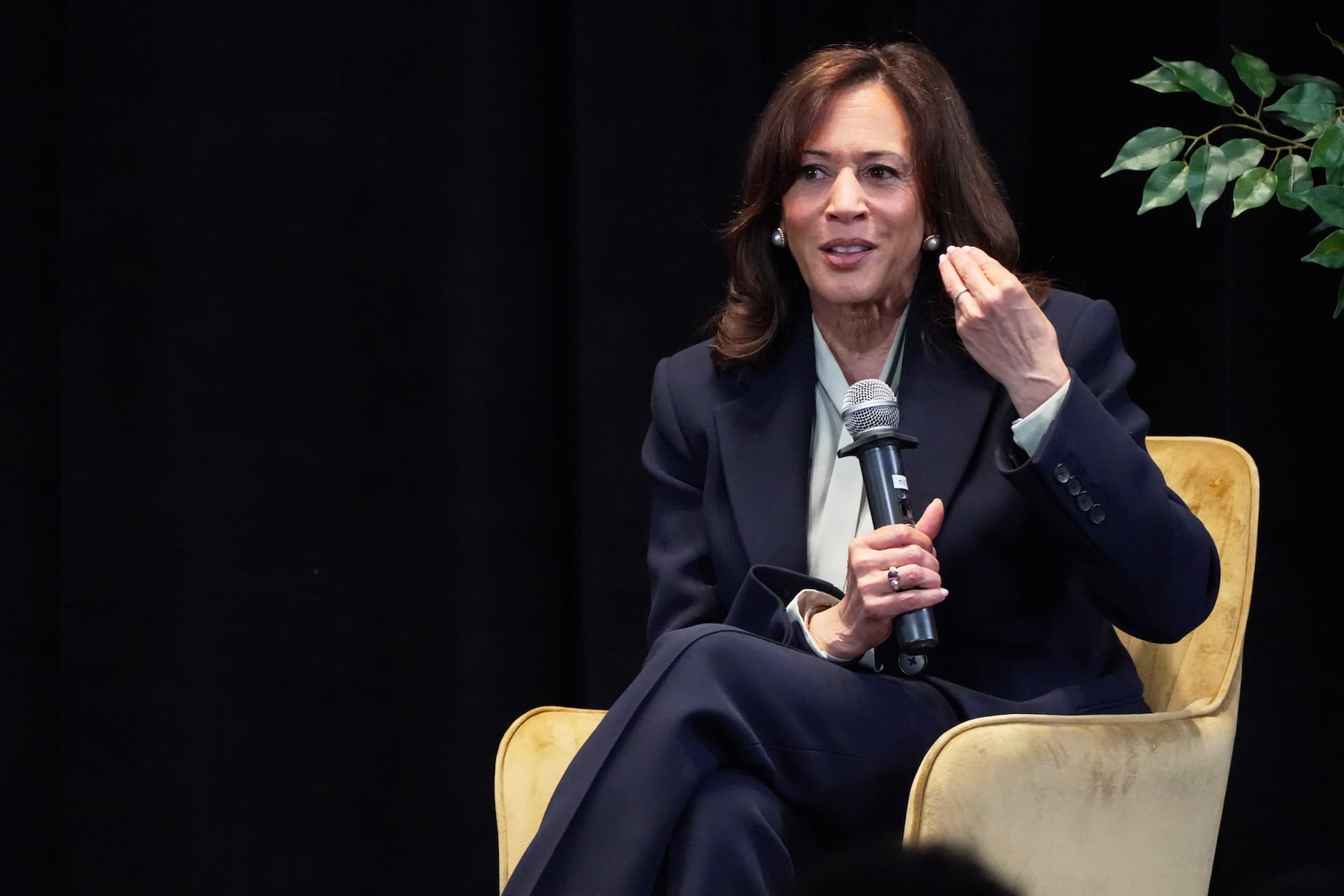 After loss to Trump, Harris dishes out advice to Democrats: ‘We need to be ruthless’