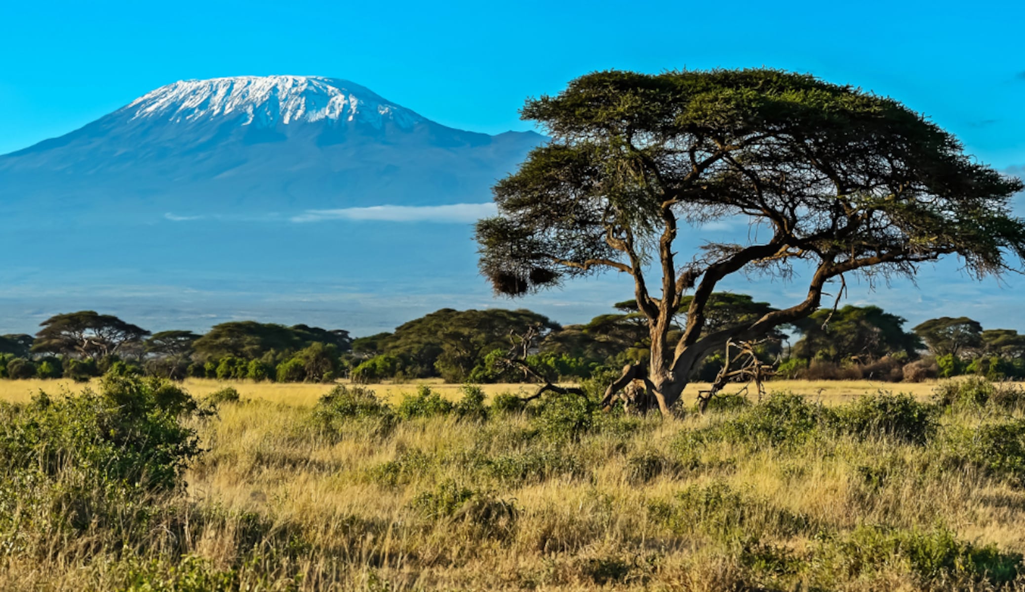 Travel Advisory: U.S. warns travelers to ‘exercise increased caution’ in this African nation