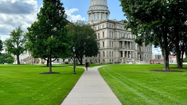 Who is electable? Michigan’s Senate primary asks a familiar question.