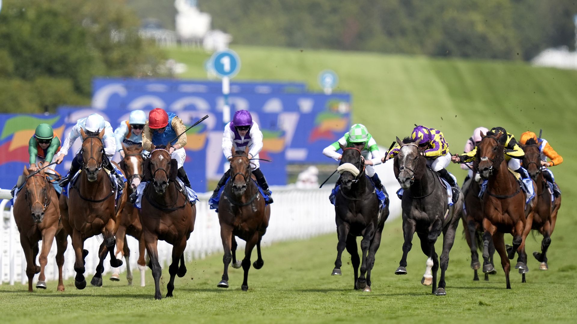 Evening Saigon wins Stewards' Cup at Goodwood
