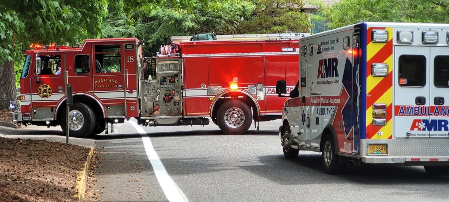 Unleashed dog attack leaves 3 injured in SW Portland, police say