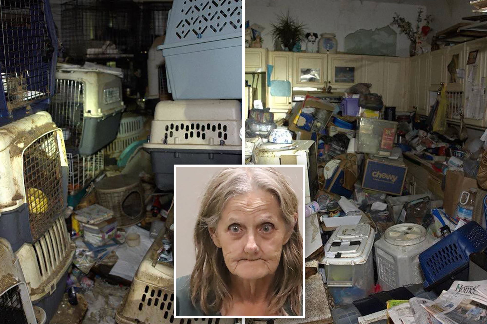 Hoarder mail carrier trapped over 100 cats, dogs stolen from her route in feces-filled Florida house of horrors