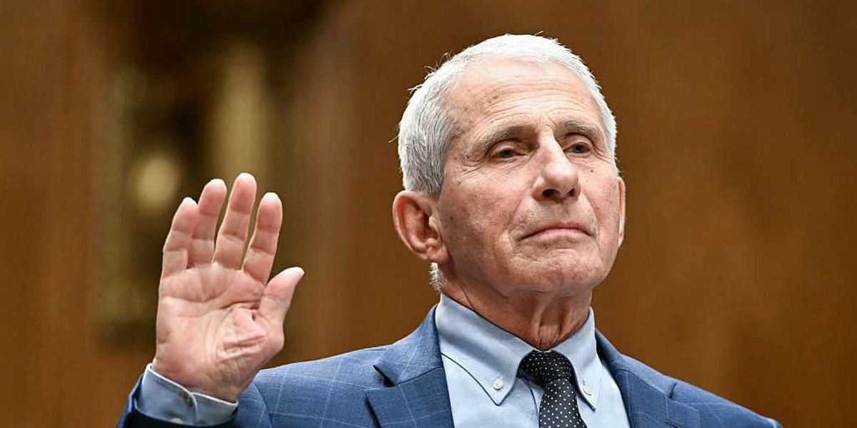 Two Americas, under Fauci, with liberty and justice for none