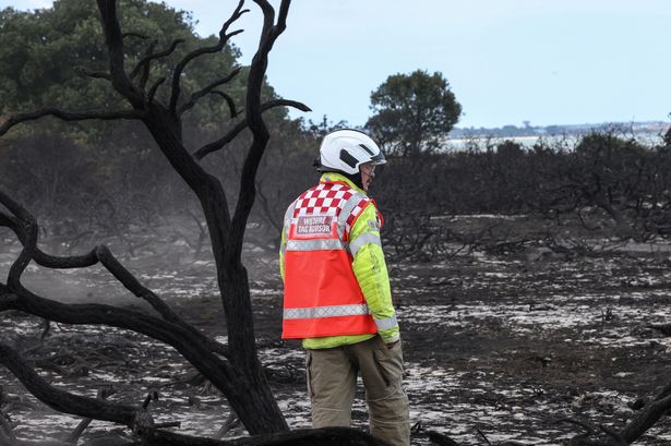 UK wildfires cause devastation to rare wildlife habitats that could take 25 years to recover