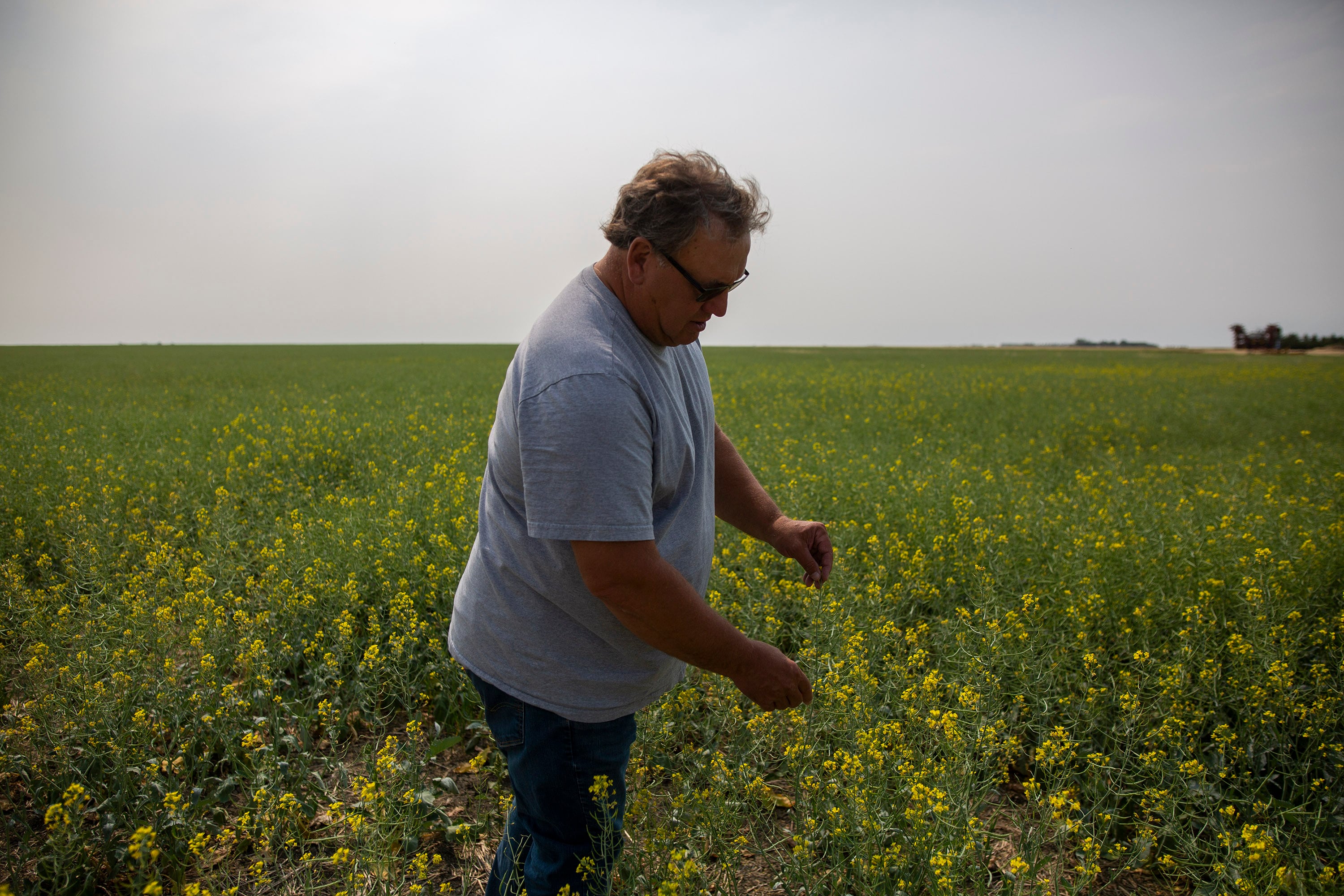 Saskatchewan farmer and senator Todd Lewis passes away at 65