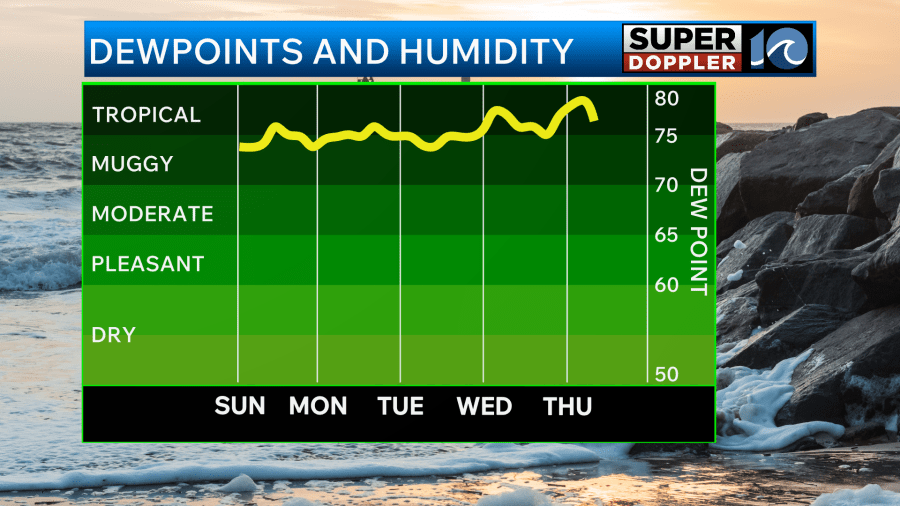 Blog: High humidity and daily rain chances