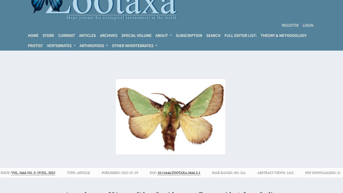 India is home to 13,703 species of lepidoptera, about 8.25% of all known species of butterflies and moths