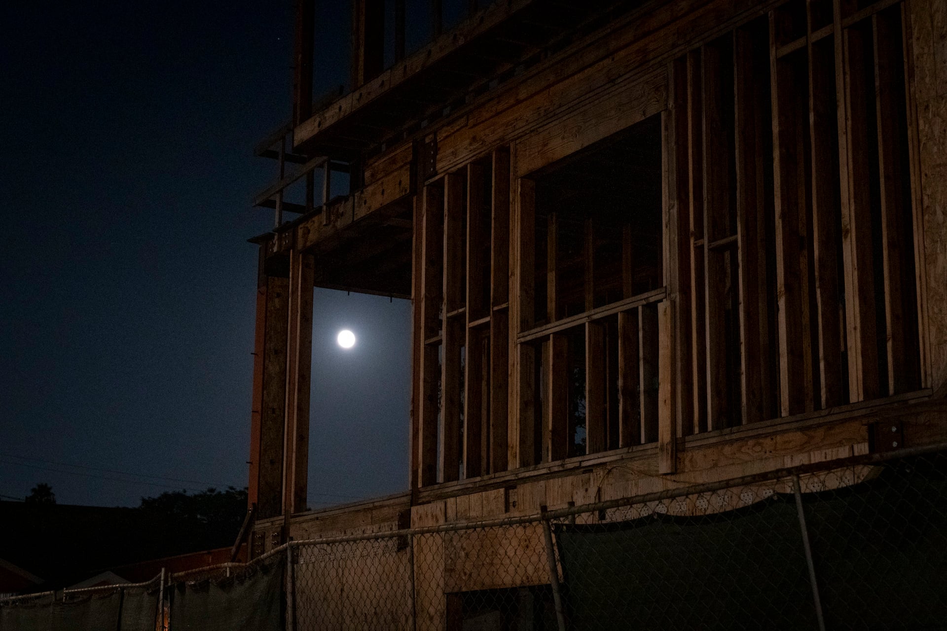 Coyotes take over abandoned housing development, vexing neighbors