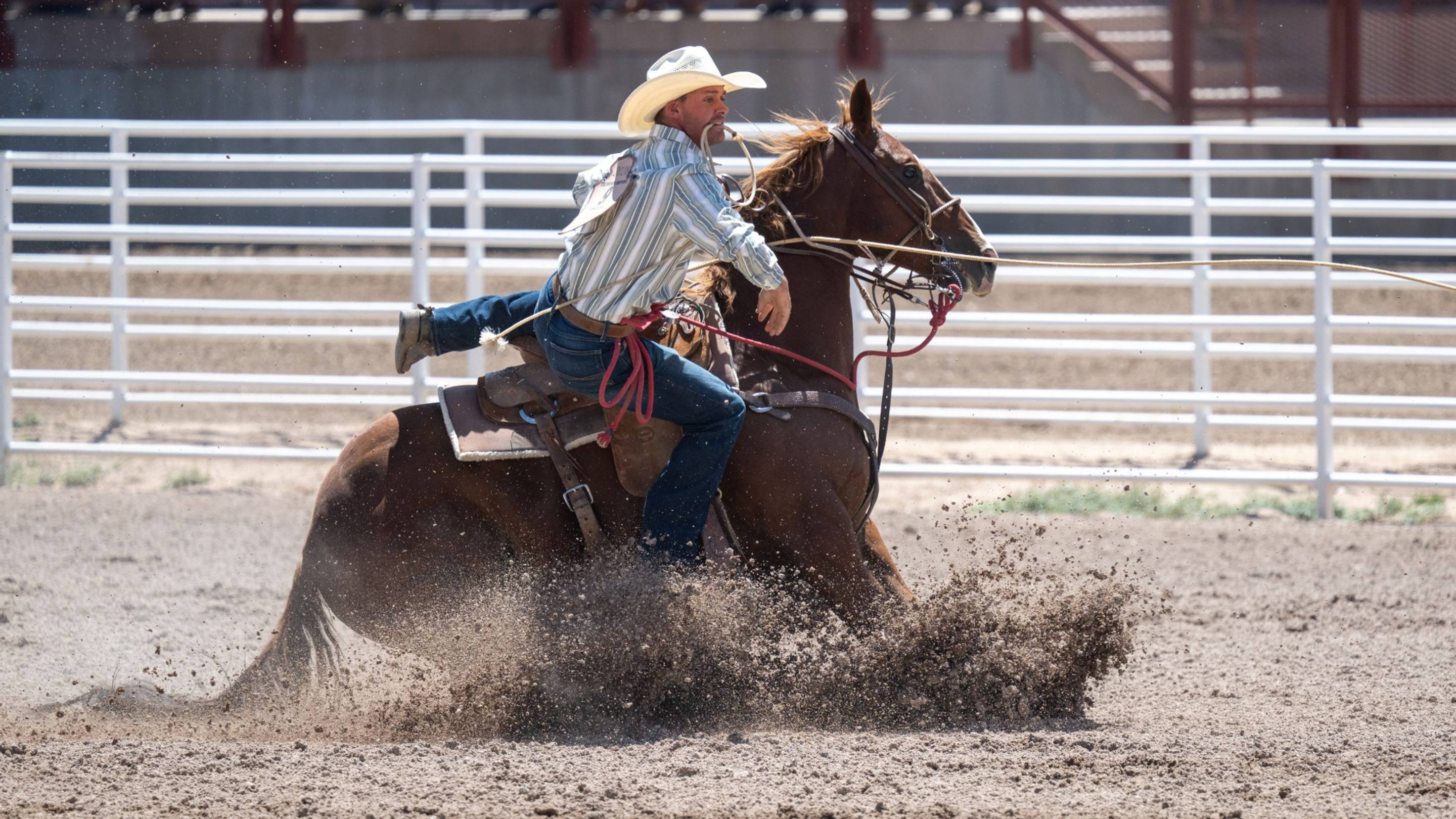 ‘Dream Win’ Providing Tie-Down Roper Momentum to Close 2026, Build for Next Season