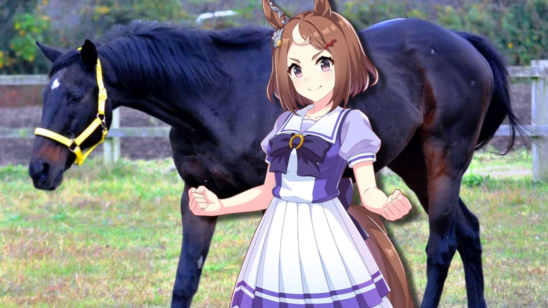 Real-life horse behind Umamusume’s Tsurumaru Tsuyoshi dies aged 31