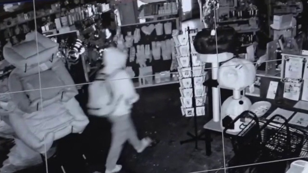 Burglar smashes window at longtime Fairfax District pet store