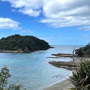 Popular Auckland marine reserve Goat Island the next site for paid parking