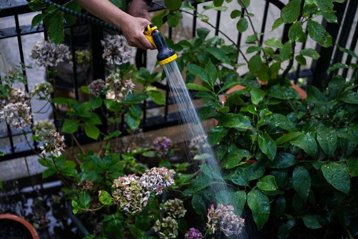 Millions of UK households will ignore hosepipe ban, survey indicates
