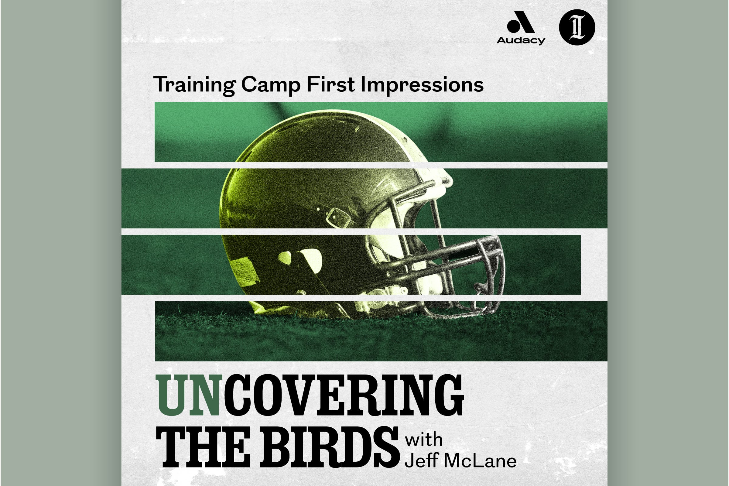 unCovering the Birds: Training Camp First Impressions