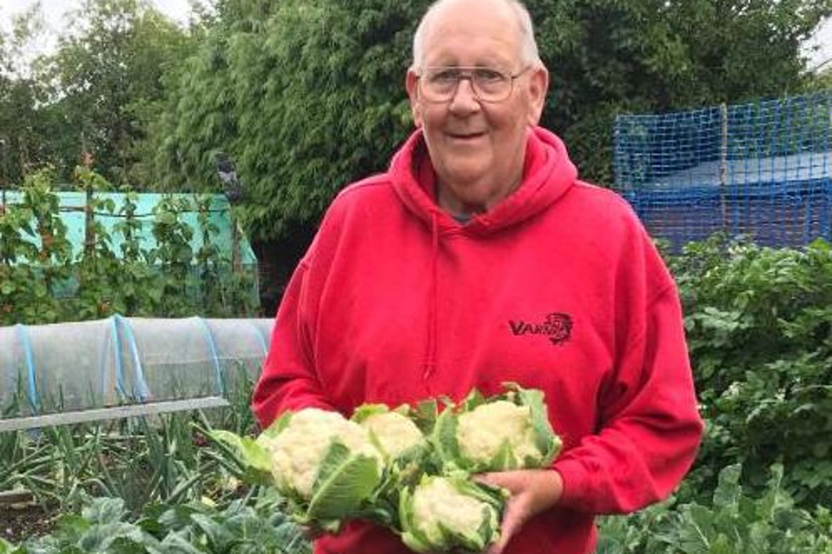 Viral gardening granddad on the best vegetables for kids to grow